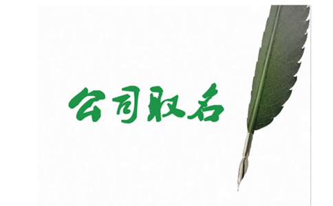 鄭東新區(qū)注冊公司核準(zhǔn)名稱在哪個網(wǎng)站？具體流程啥樣？